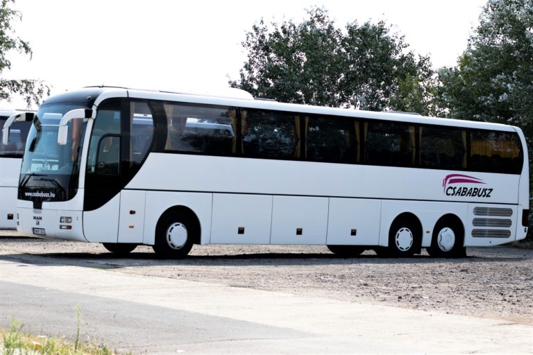 MAN LION’S COACH